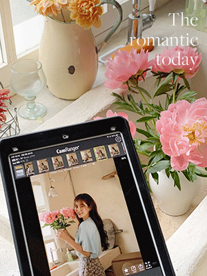 르엘 날개소매 쉬폰 블라우스