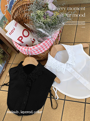 이덴 레이스 레이어드 카라